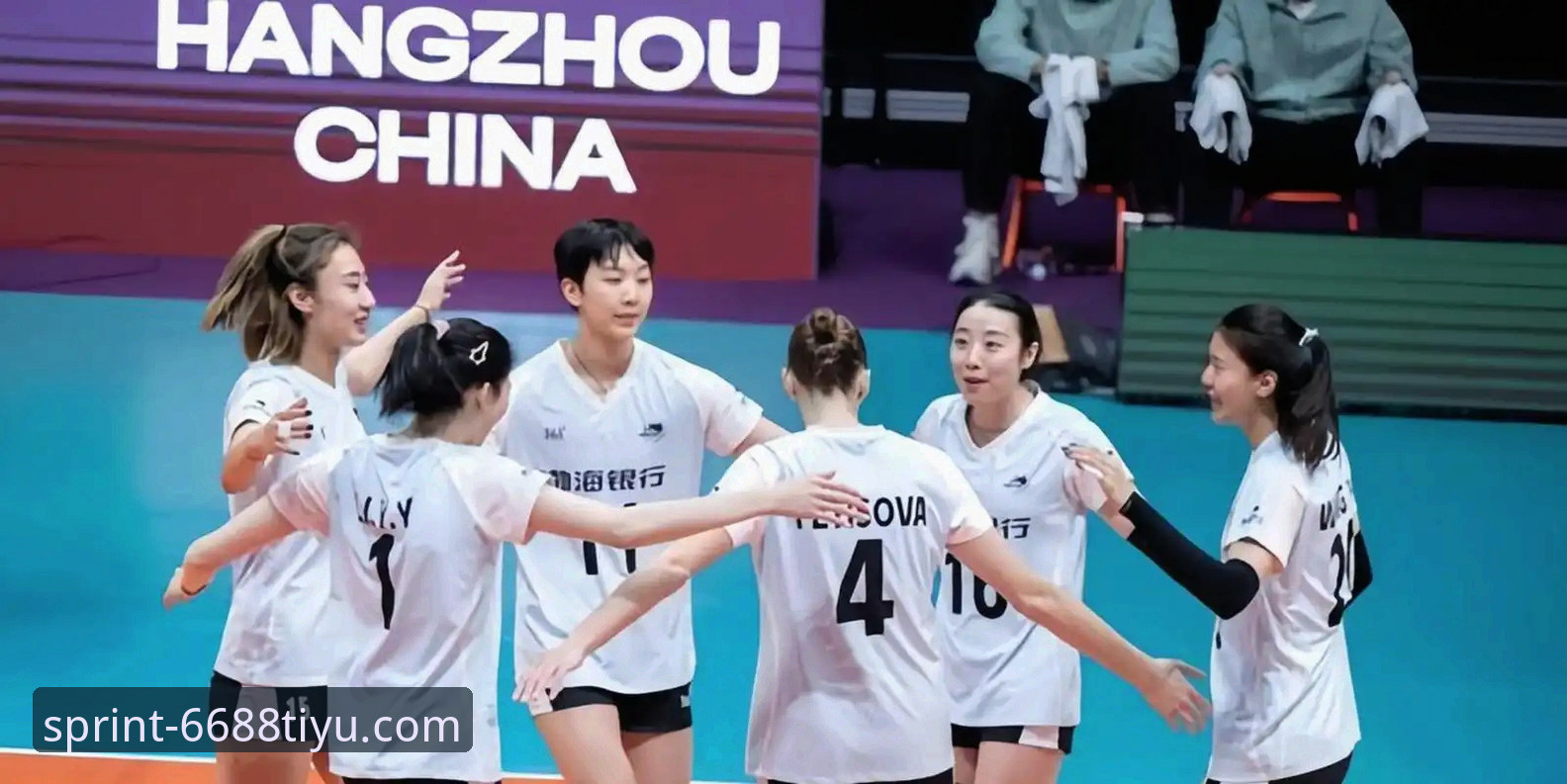 体育怎么登录功能详解 2026世界女排联赛深度评测:中国女排在安卡拉站展现的“双接应”战术价值